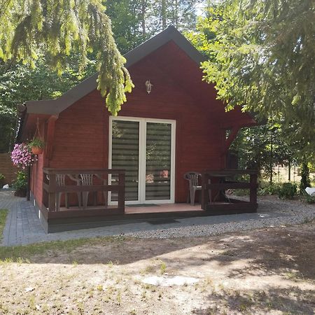 Domek Pod Sosnami Krasnobrod Bagian luar foto